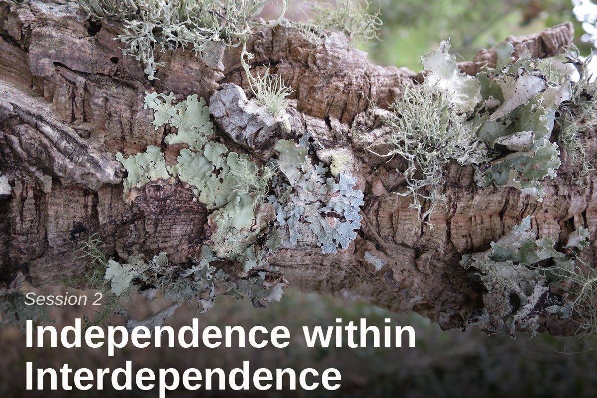 Session2_Tensional Responsiveness_Independence within Interdependence