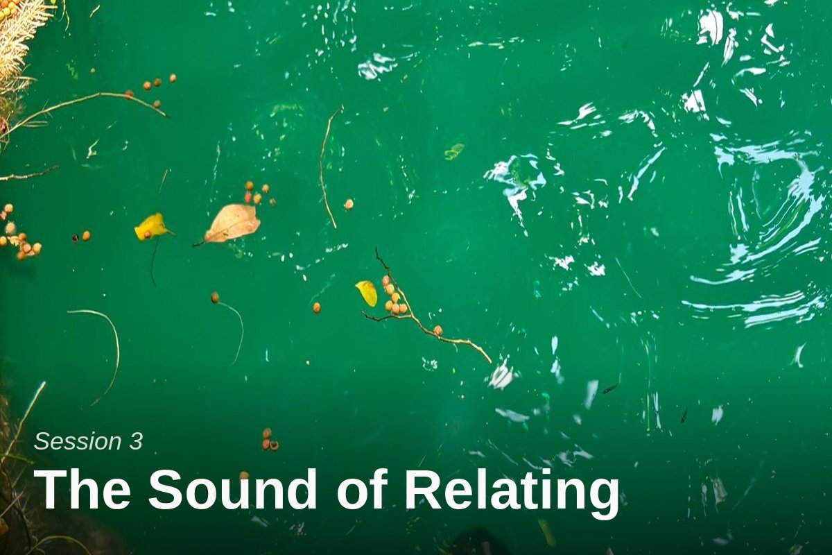 Session3_Tensional Responsiveness_SoundOfRelating_Doerte Weig