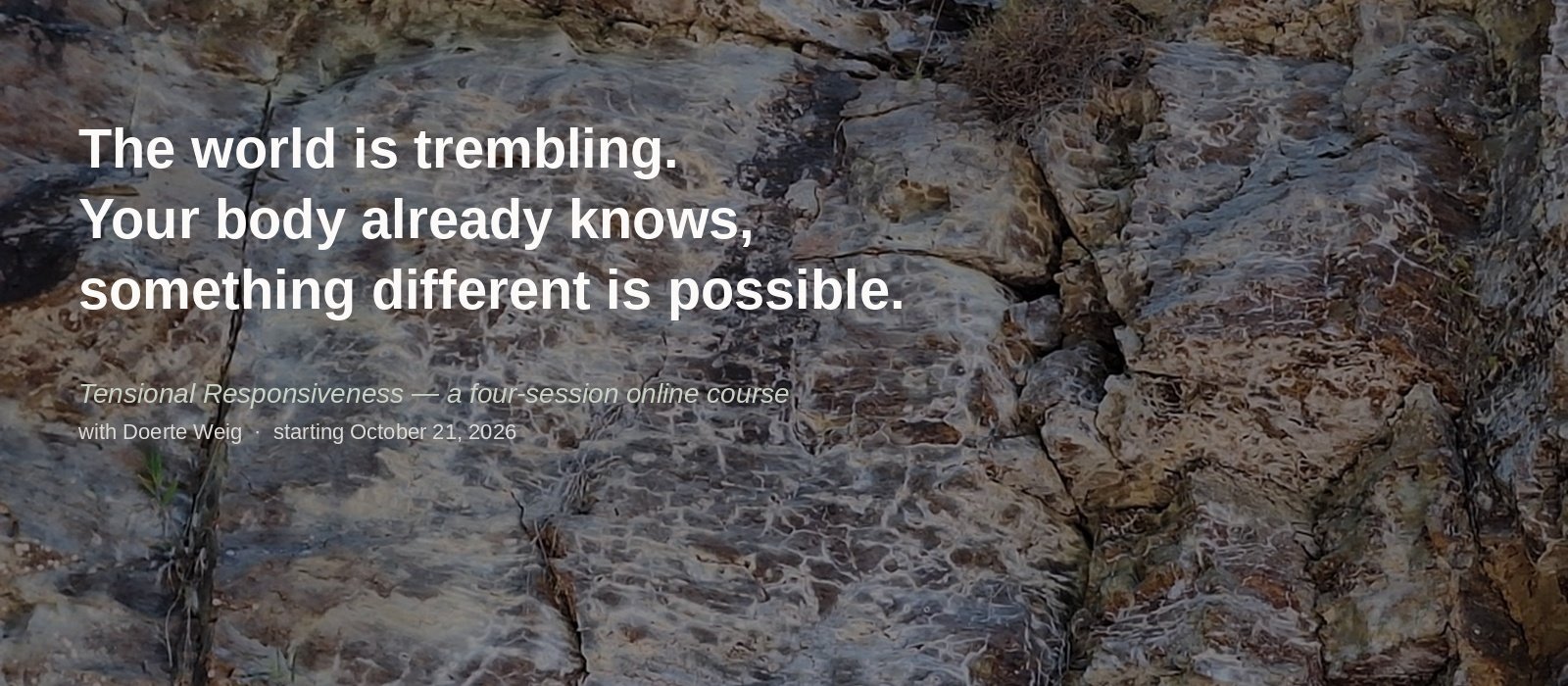 Tensional Responsiveness_Course 2026_Doerte Weig_HeroHeader